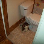 Bathroom Remodeling – Toilet and Flooring